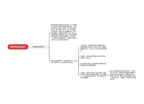 垂体的构造简介