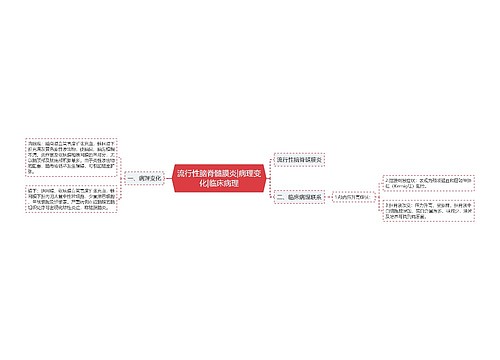 流行性脑脊髓膜炎|病理变化|临床病理