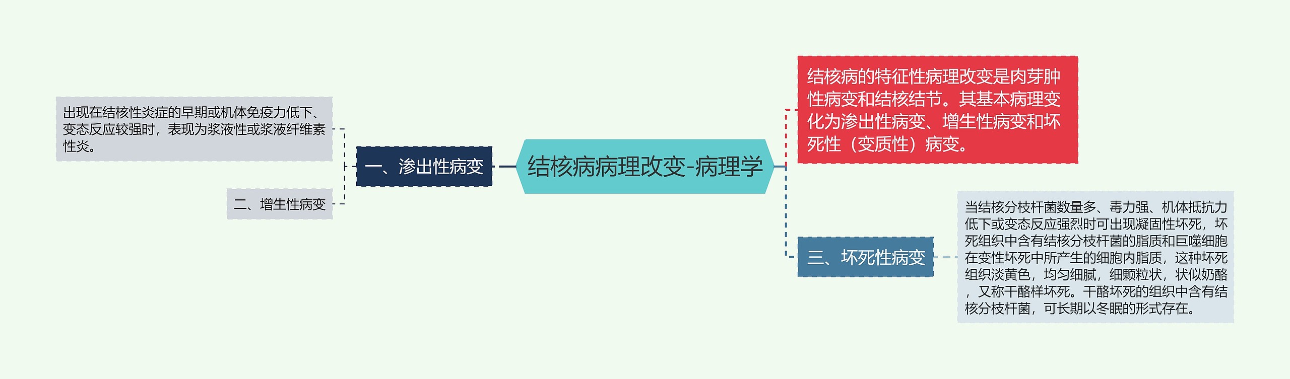 结核病病理改变-病理学思维导图