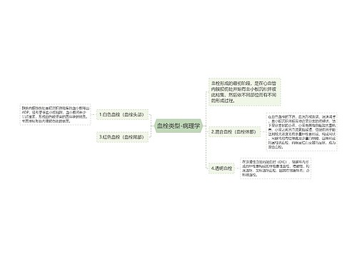 血栓类型-病理学