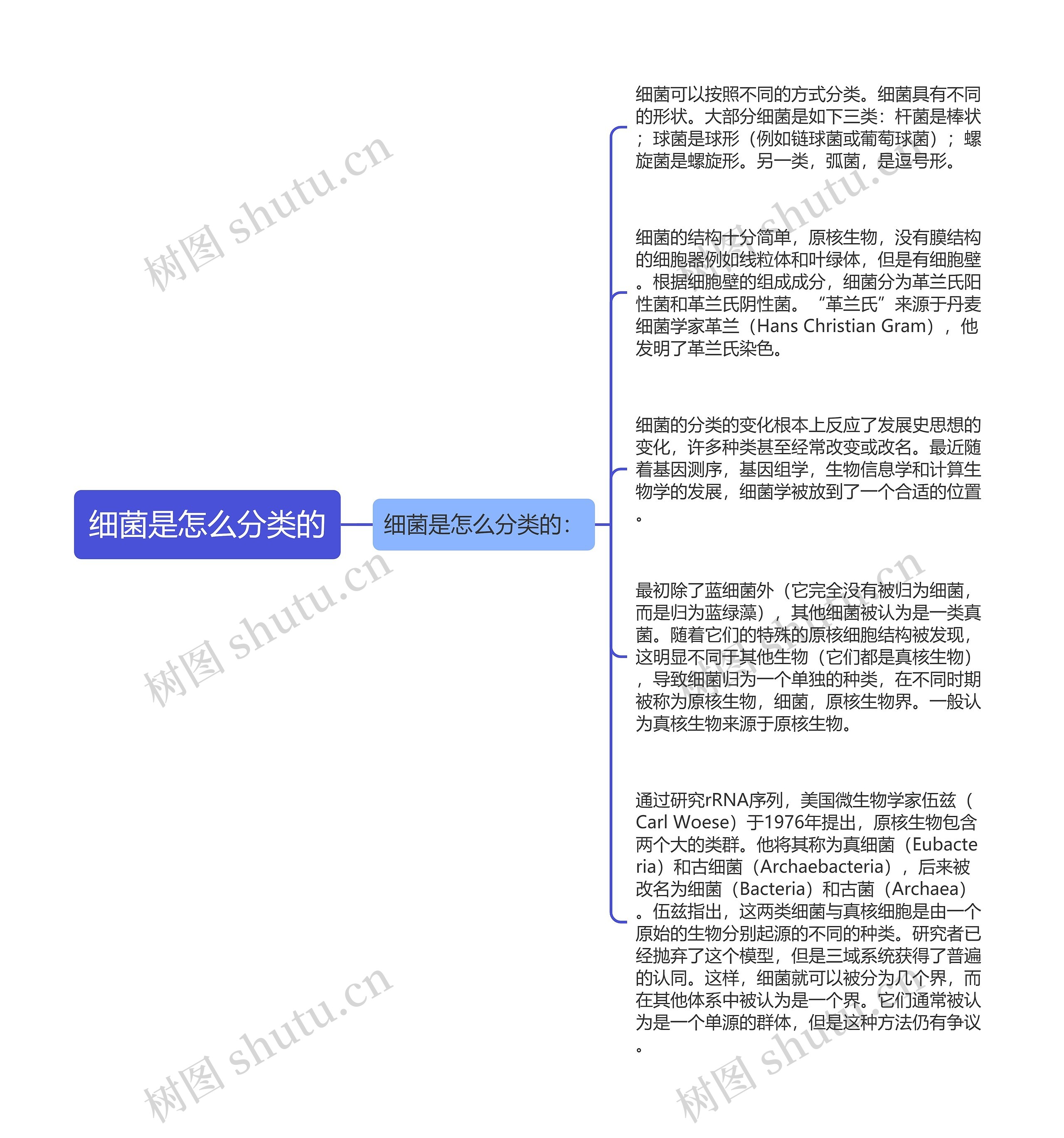 细菌是怎么分类的