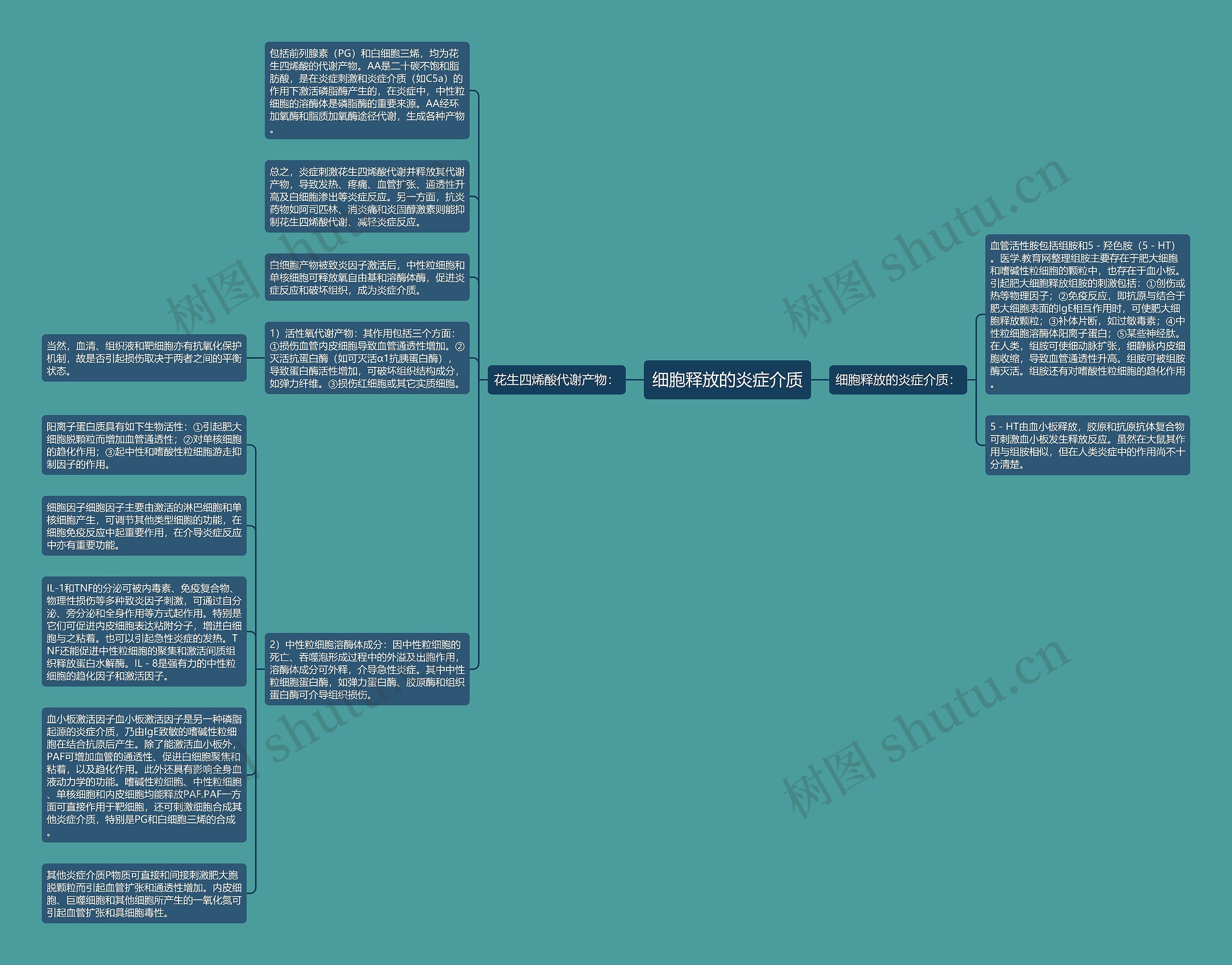 细胞释放的炎症介质思维导图