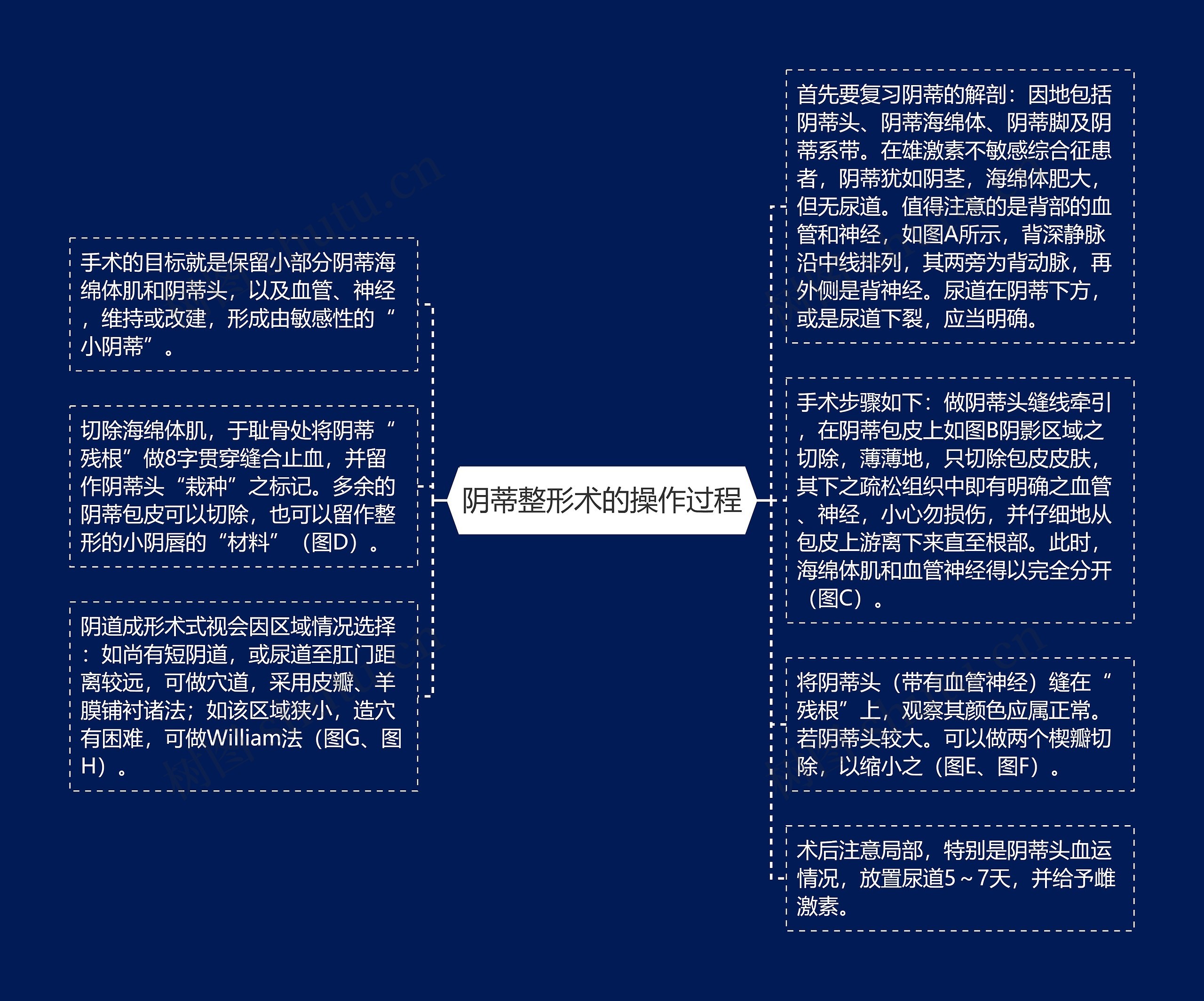 阴蒂整形术的操作过程思维导图