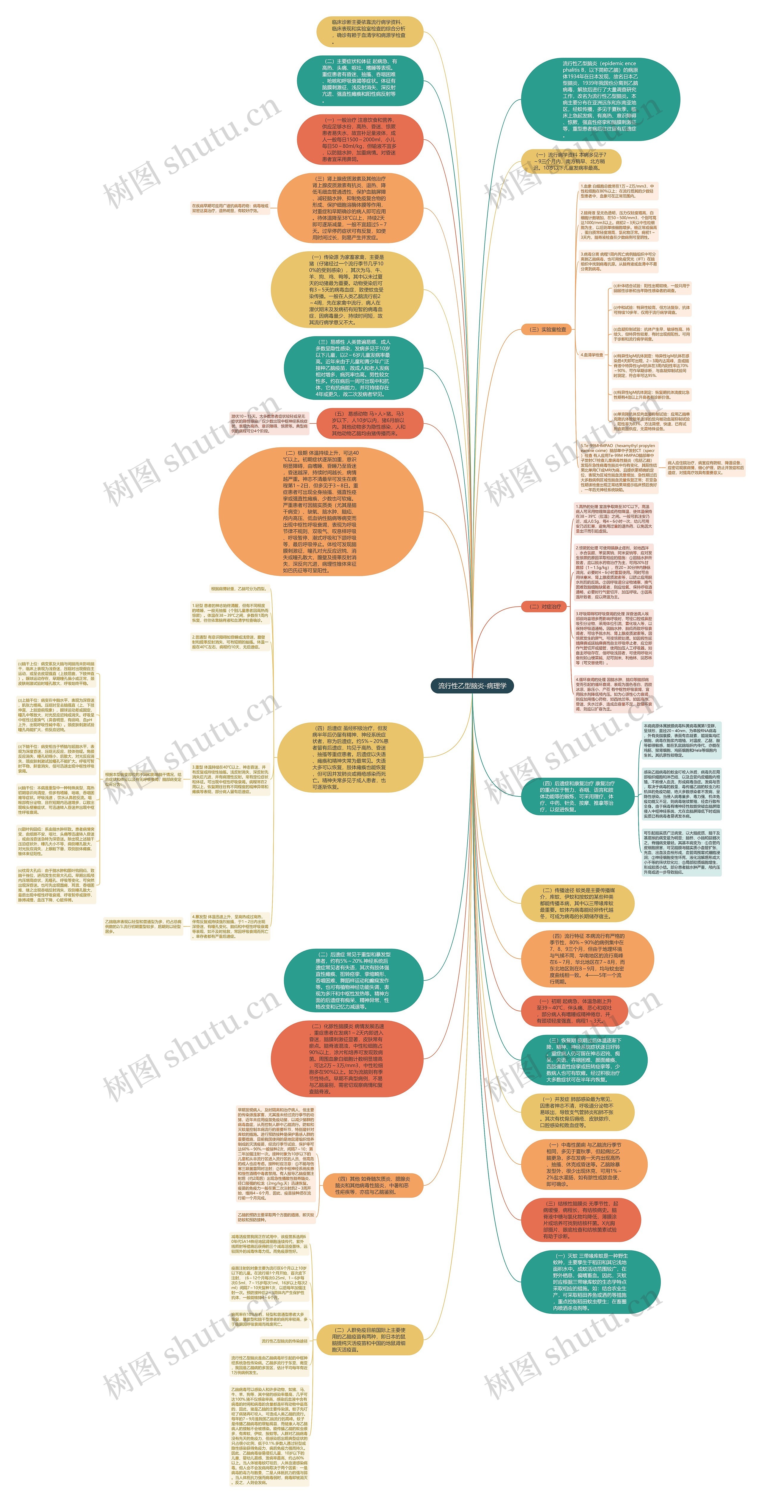 流行性乙型脑炎-病理学思维导图