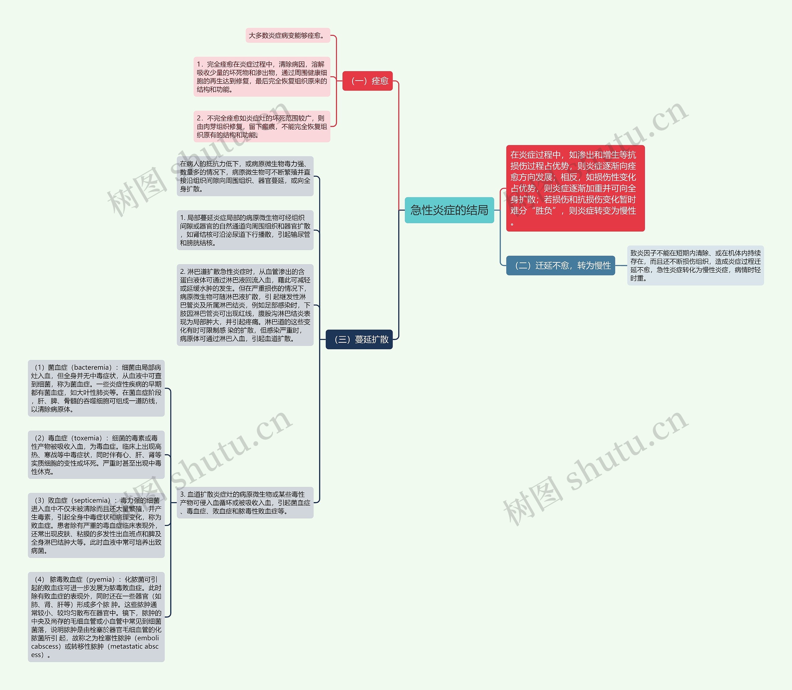急性炎症的结局思维导图