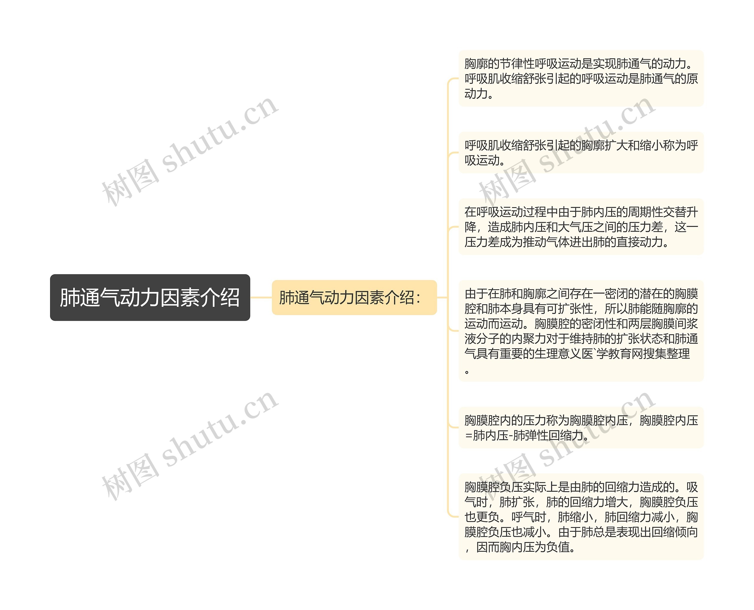 肺通气动力因素介绍思维导图