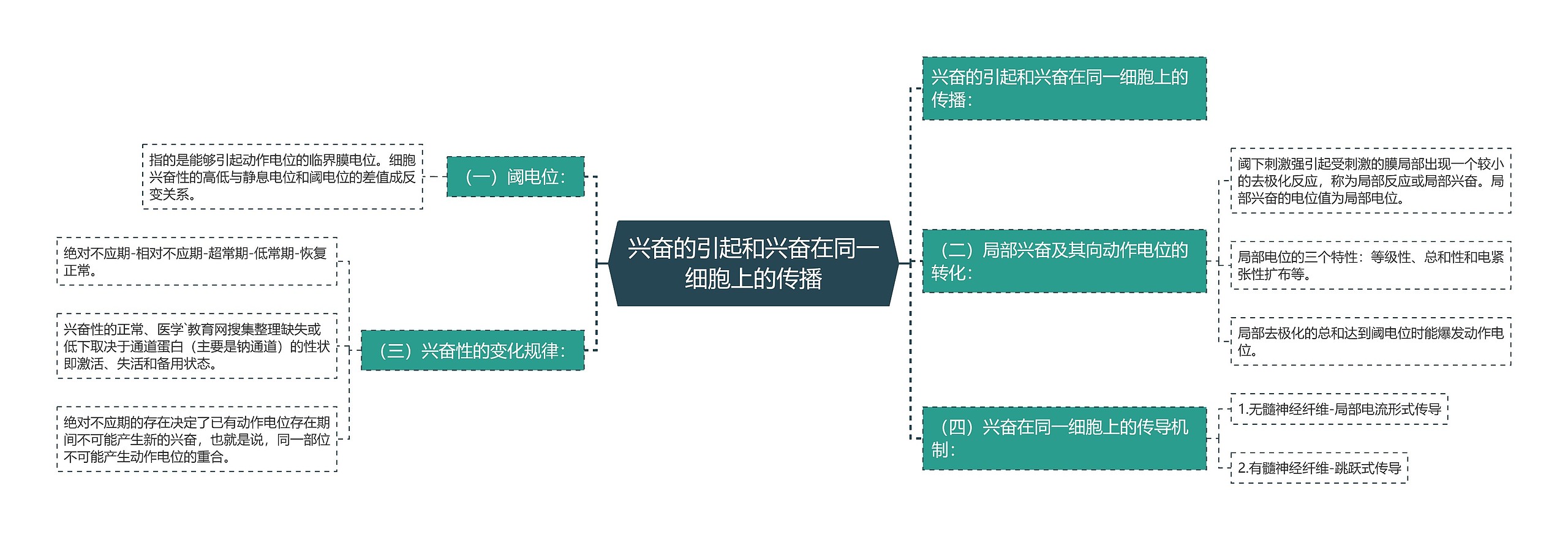 兴奋的引起和兴奋在同一细胞上的传播