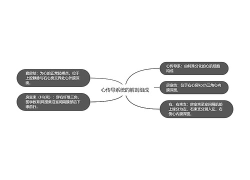 心传导系统的解剖组成