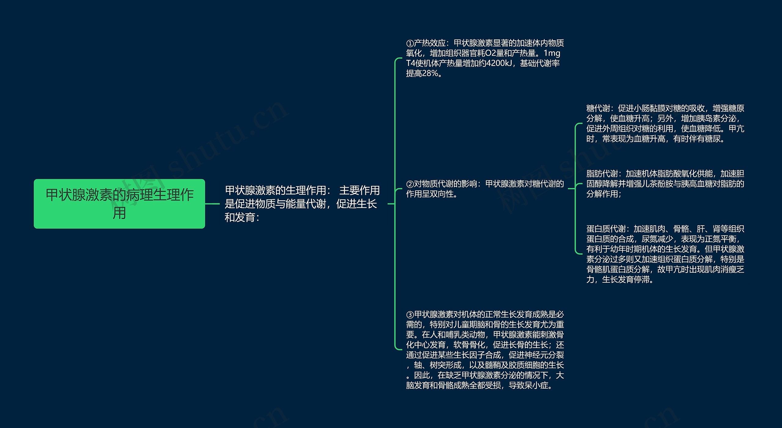 甲状腺激素的病理生理作用