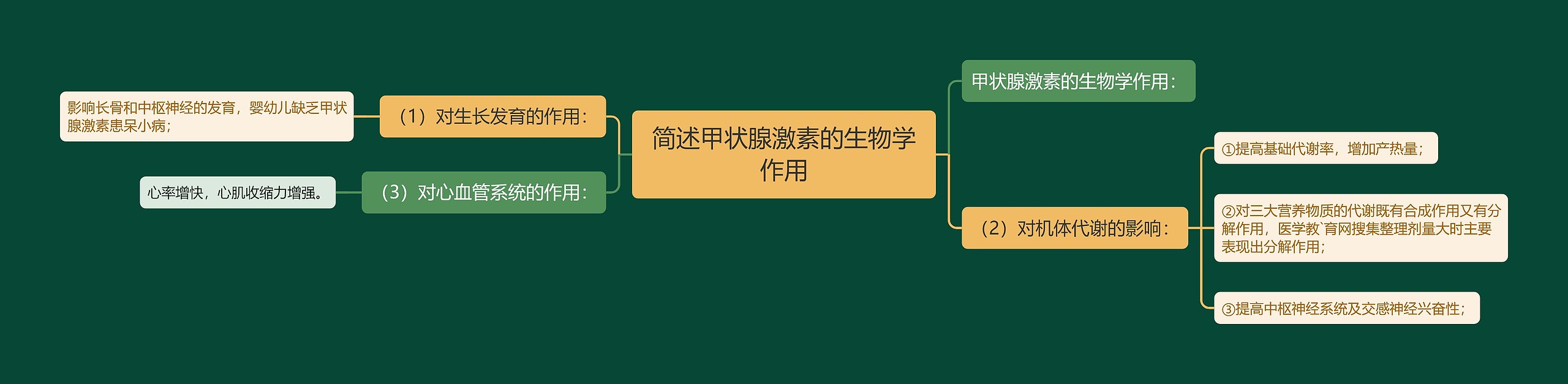 简述甲状腺激素的生物学作用 简述甲状腺激素的生物学作用