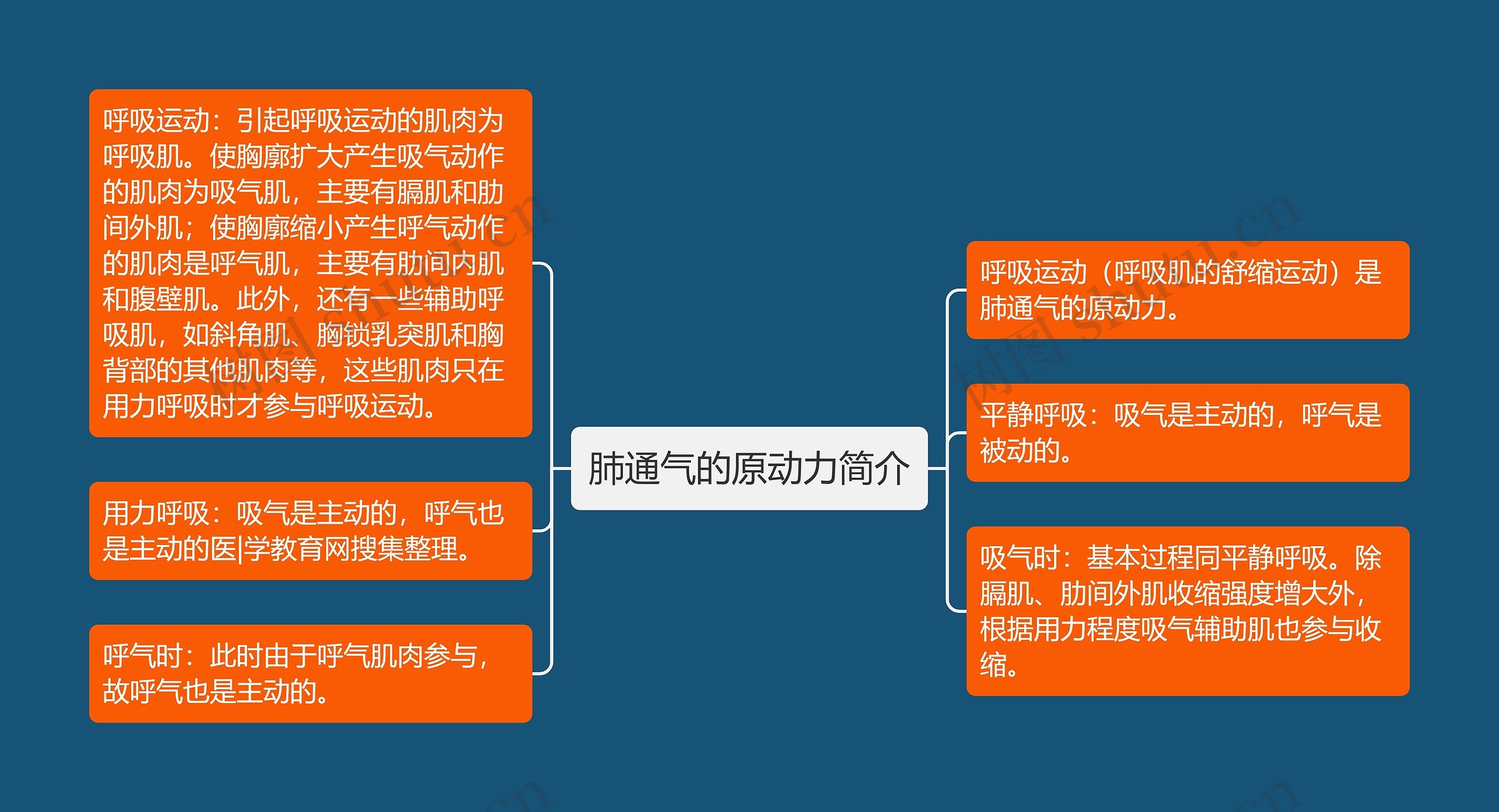 肺通气的原动力简介思维导图