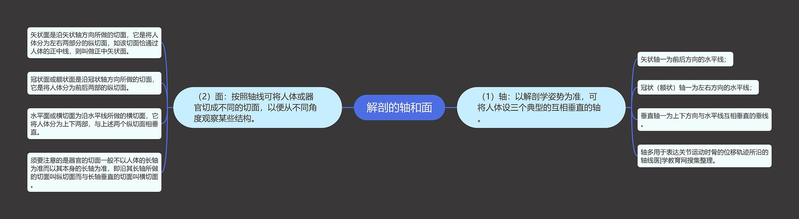 解剖的轴和面 解剖的轴和面