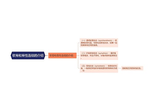 软骨和骨性连结的介绍