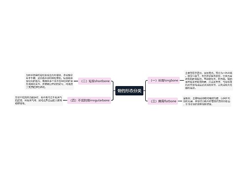 骨的形态分类