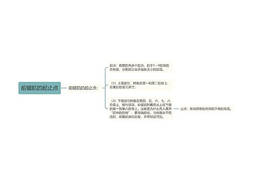 前锯肌的起止点