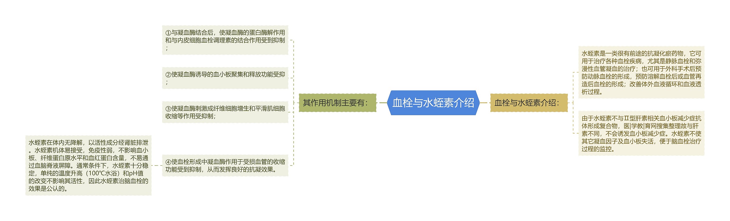 血栓与水蛭素介绍