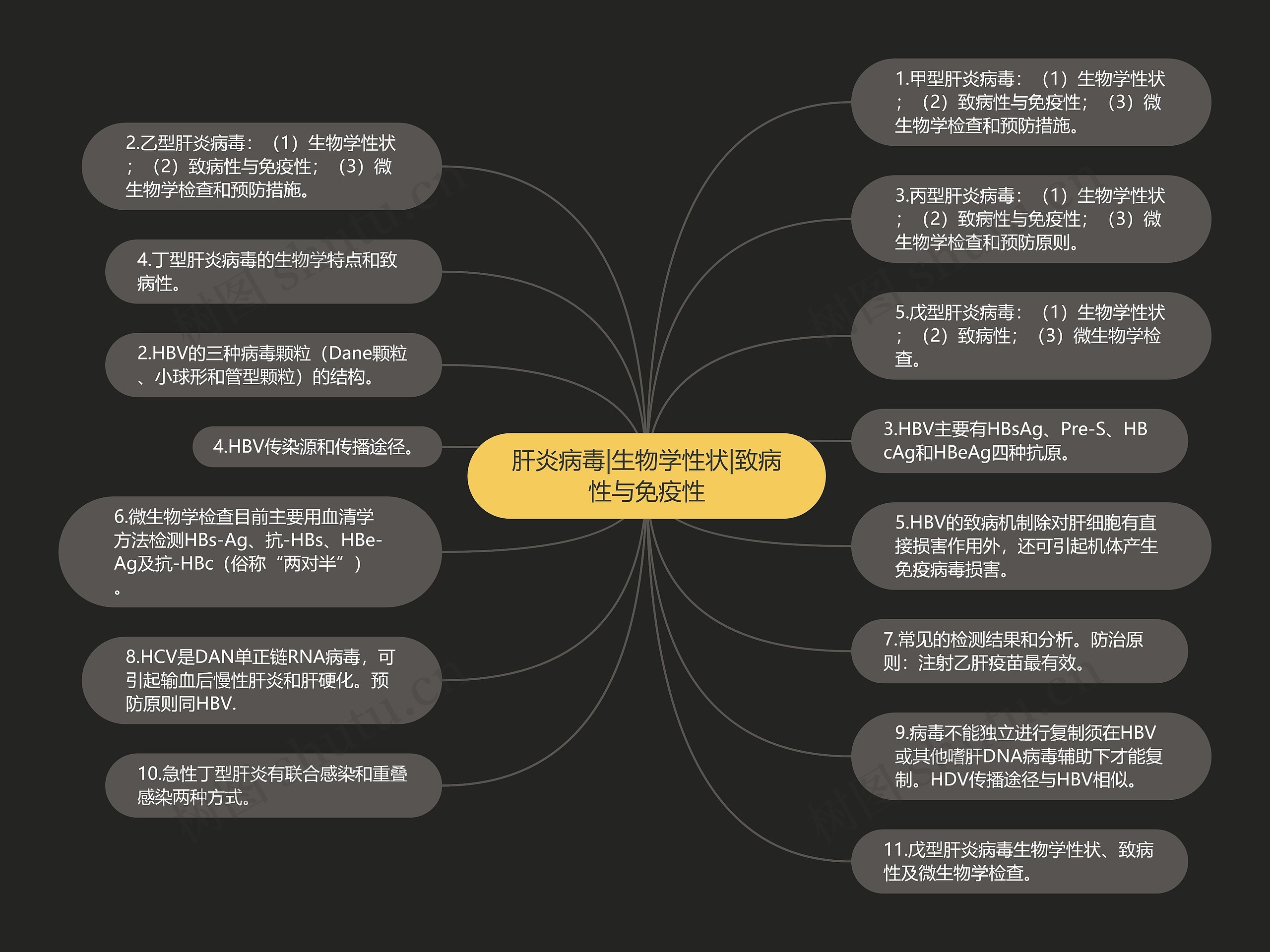 肝炎病毒|生物学性状|致病性与免疫性