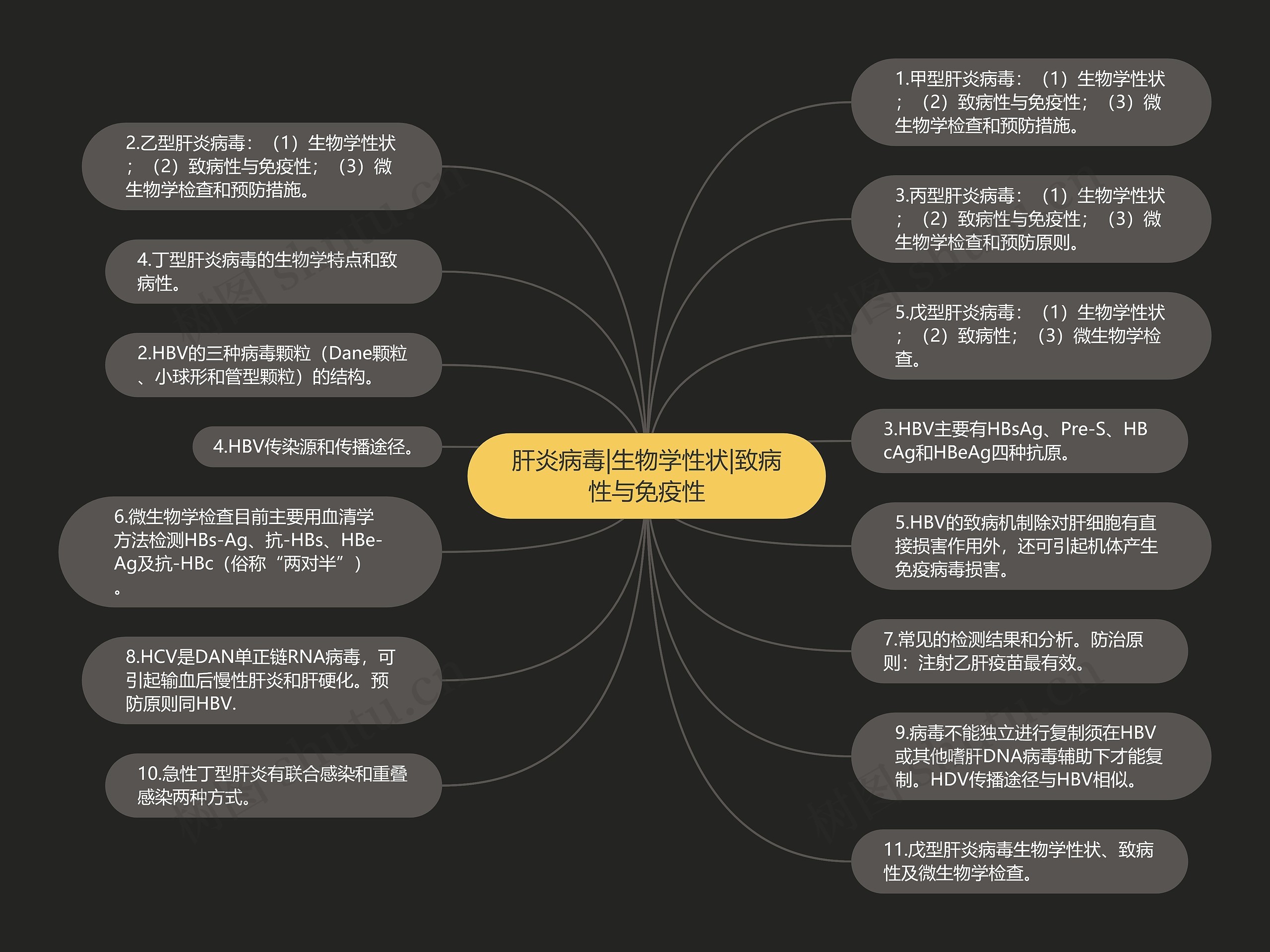 肝炎病毒|生物学性状|致病性与免疫性 肝炎病毒|生物学性状|致病性与免疫性