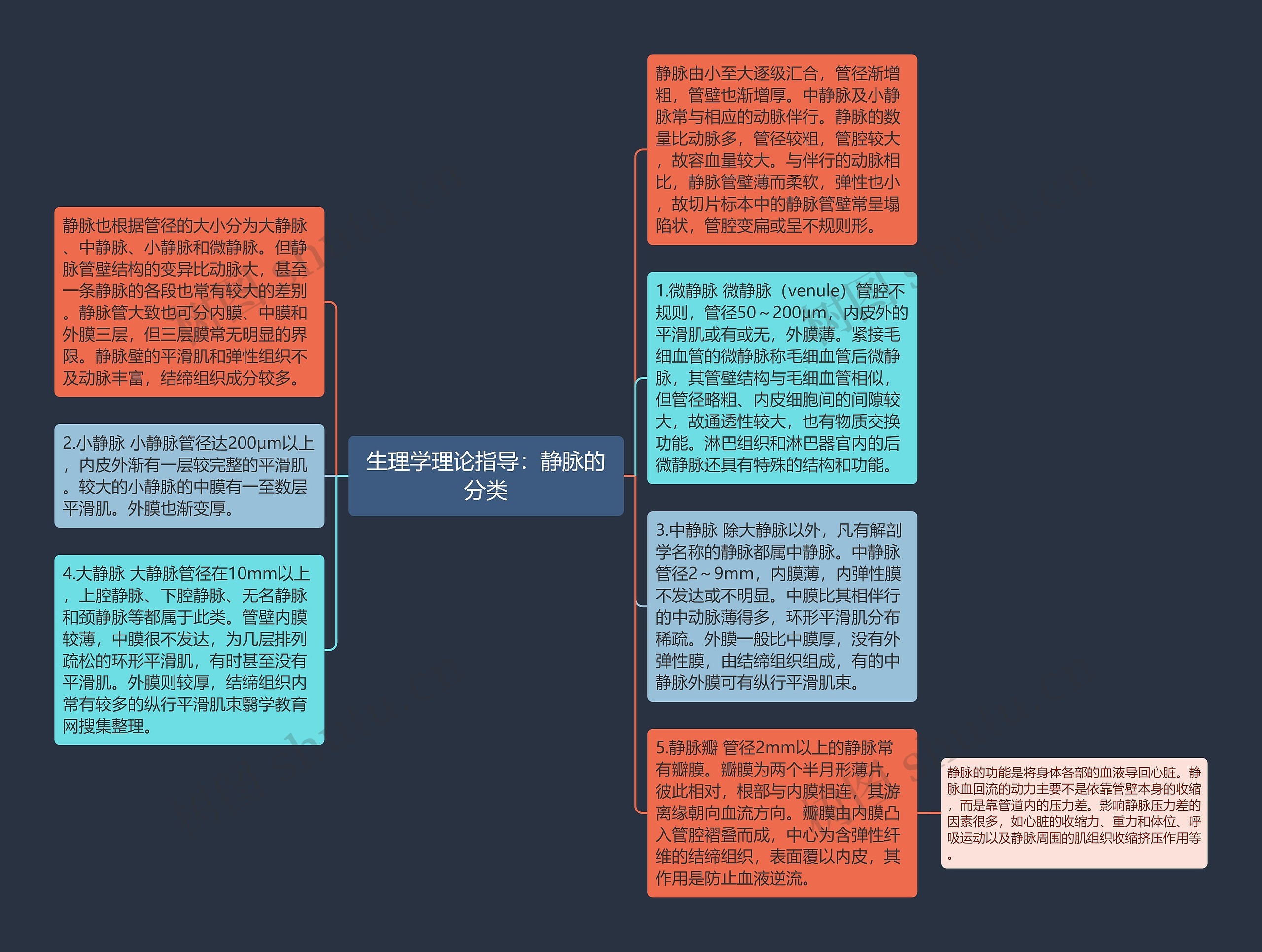 生理学理论指导：静脉的分类思维导图