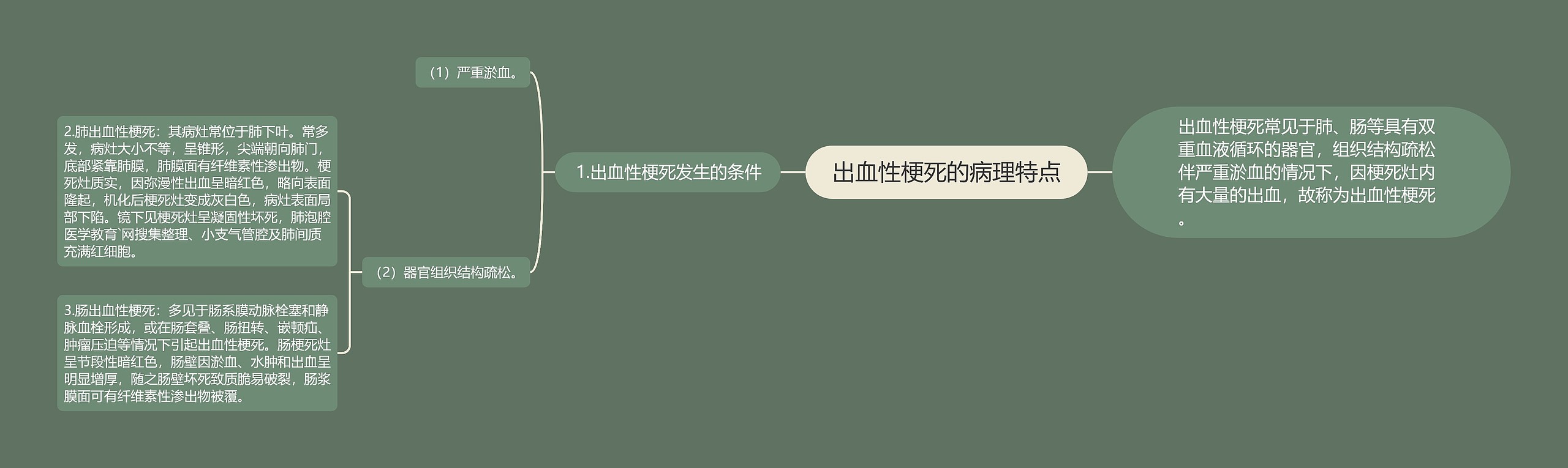 出血性梗死的病理特点 出血性梗死的病理特点