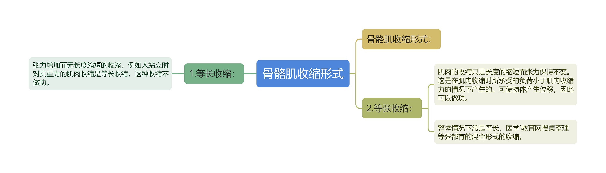 骨骼肌收缩形式