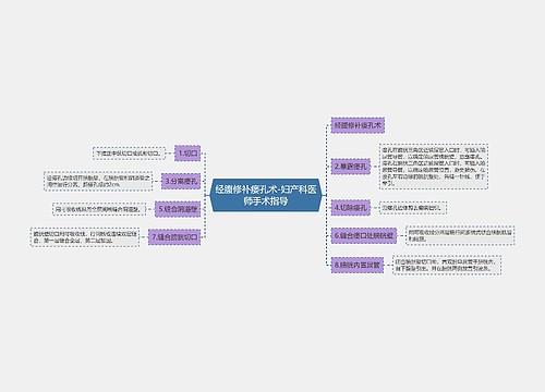 经腹修补瘘孔术-妇产科医师手术指导