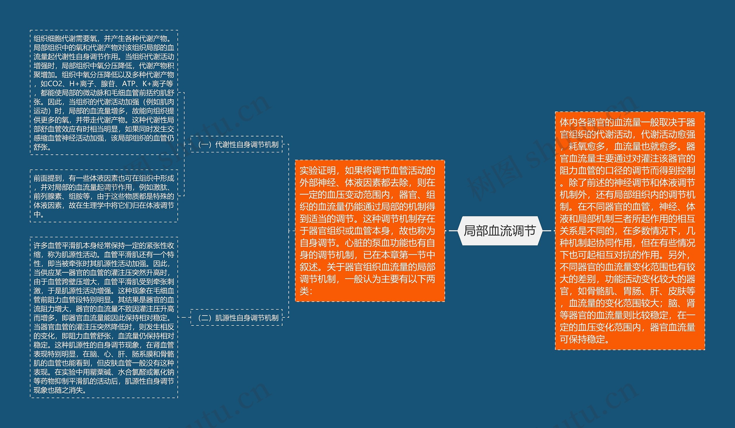 局部血流调节思维导图