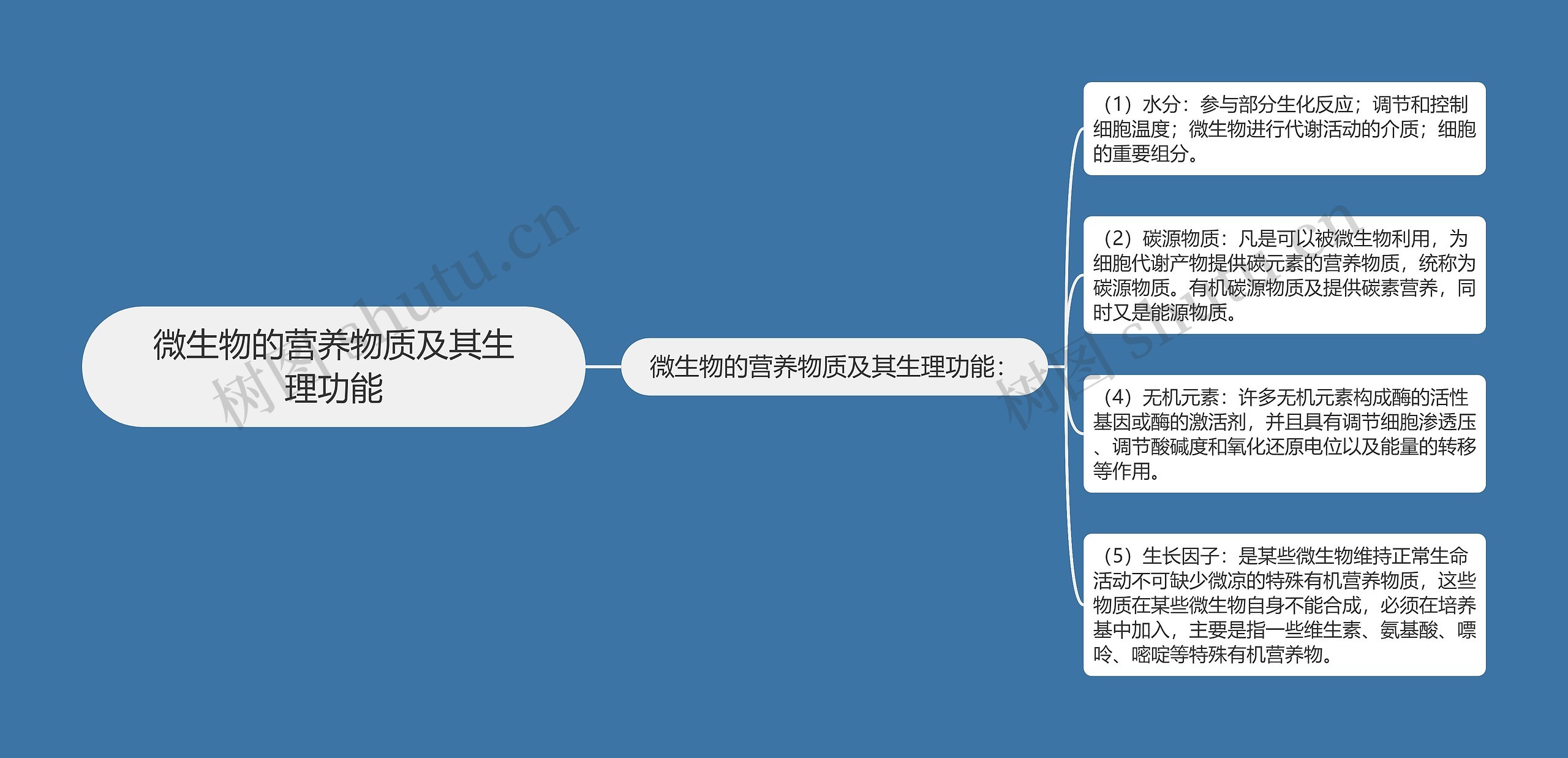 微生物的营养物质及其生理功能