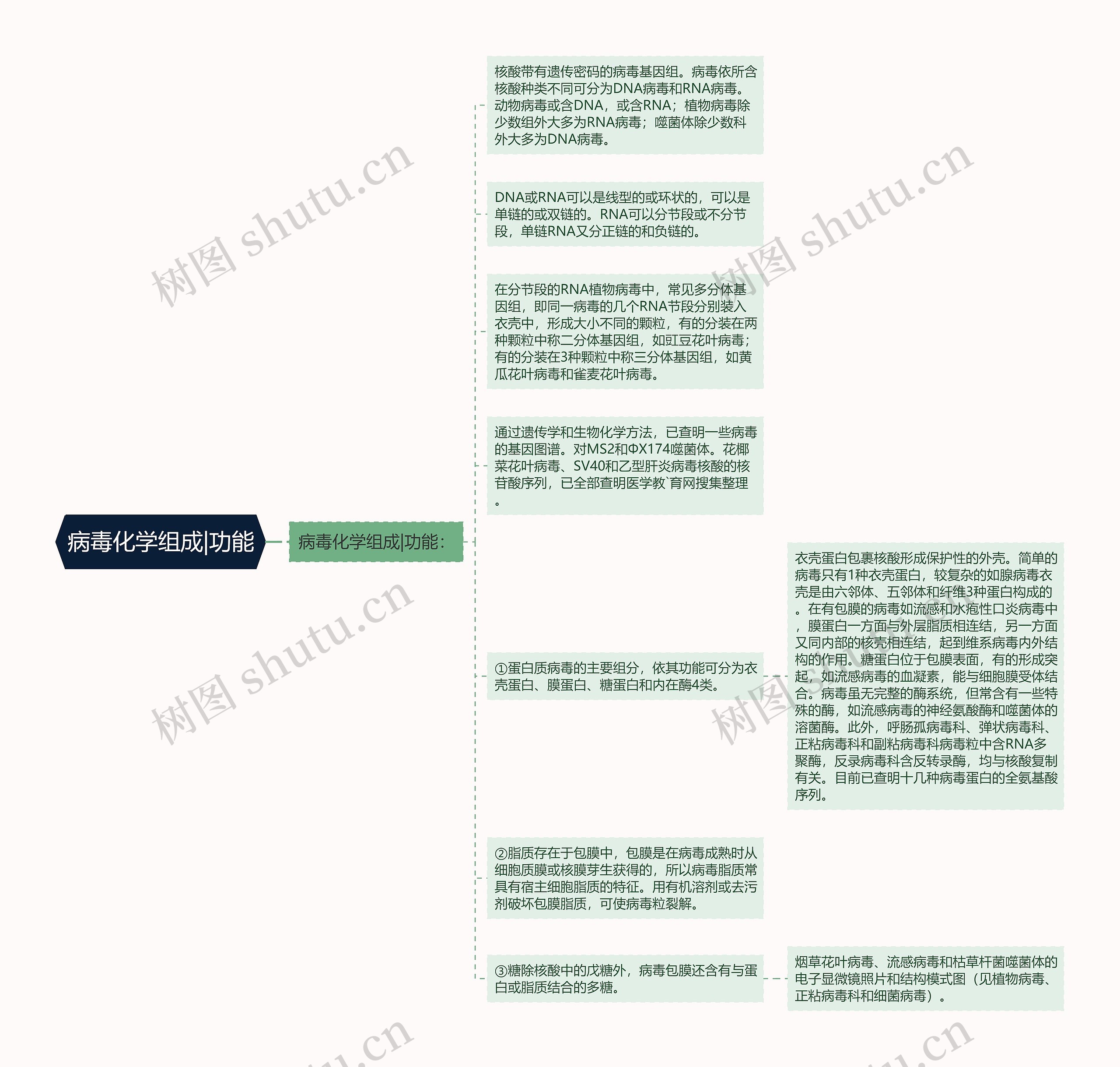 病毒化学组成|功能