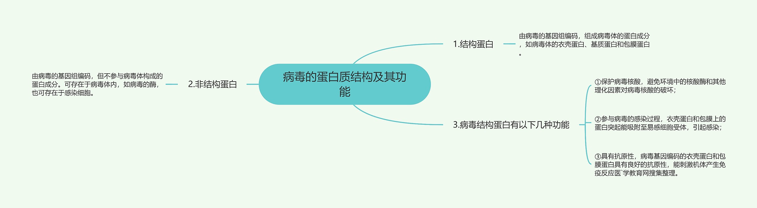 病毒的蛋白质结构及其功能思维导图