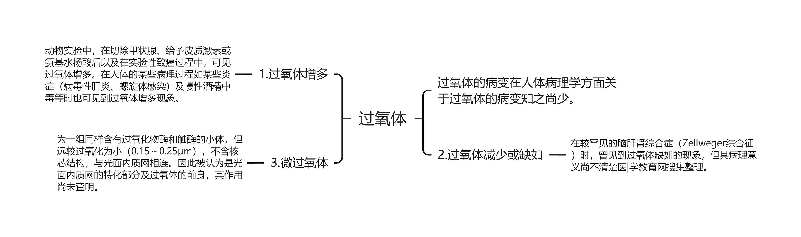 过氧体思维导图