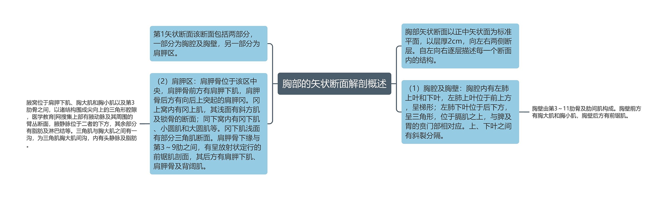 胸部的矢状断面解剖概述