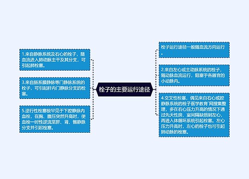 栓子的主要运行途径