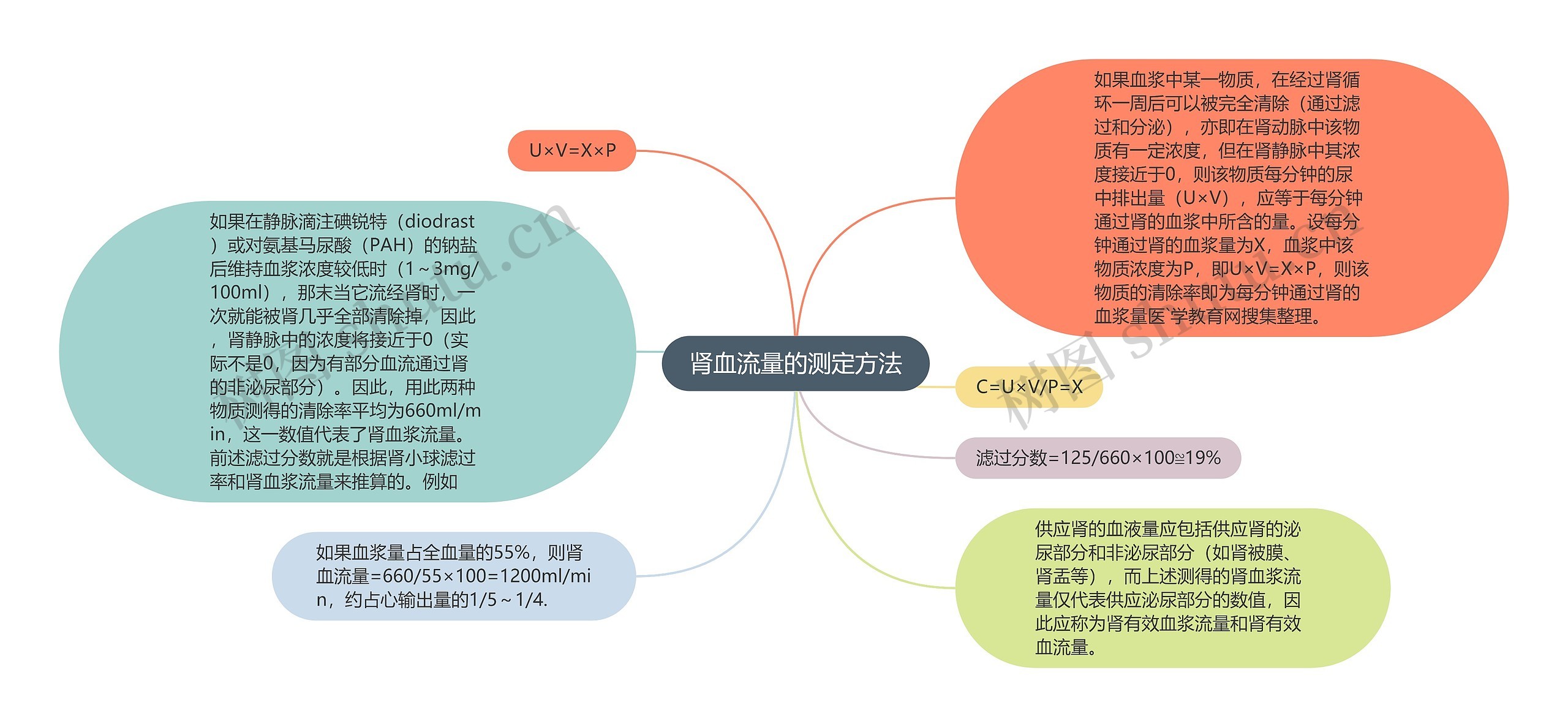 肾血流量的测定方法