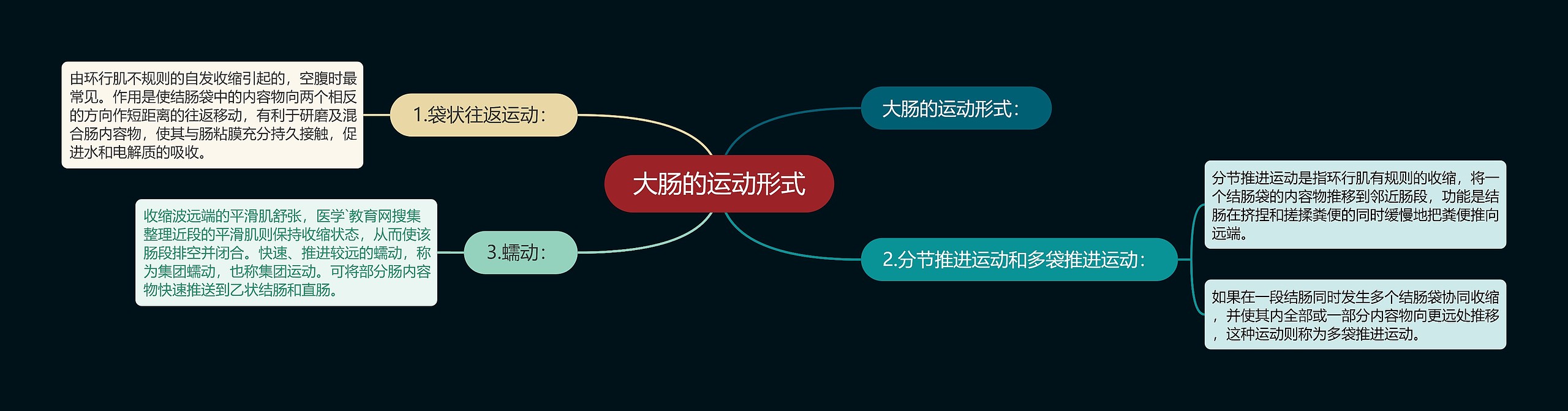 大肠的运动形式