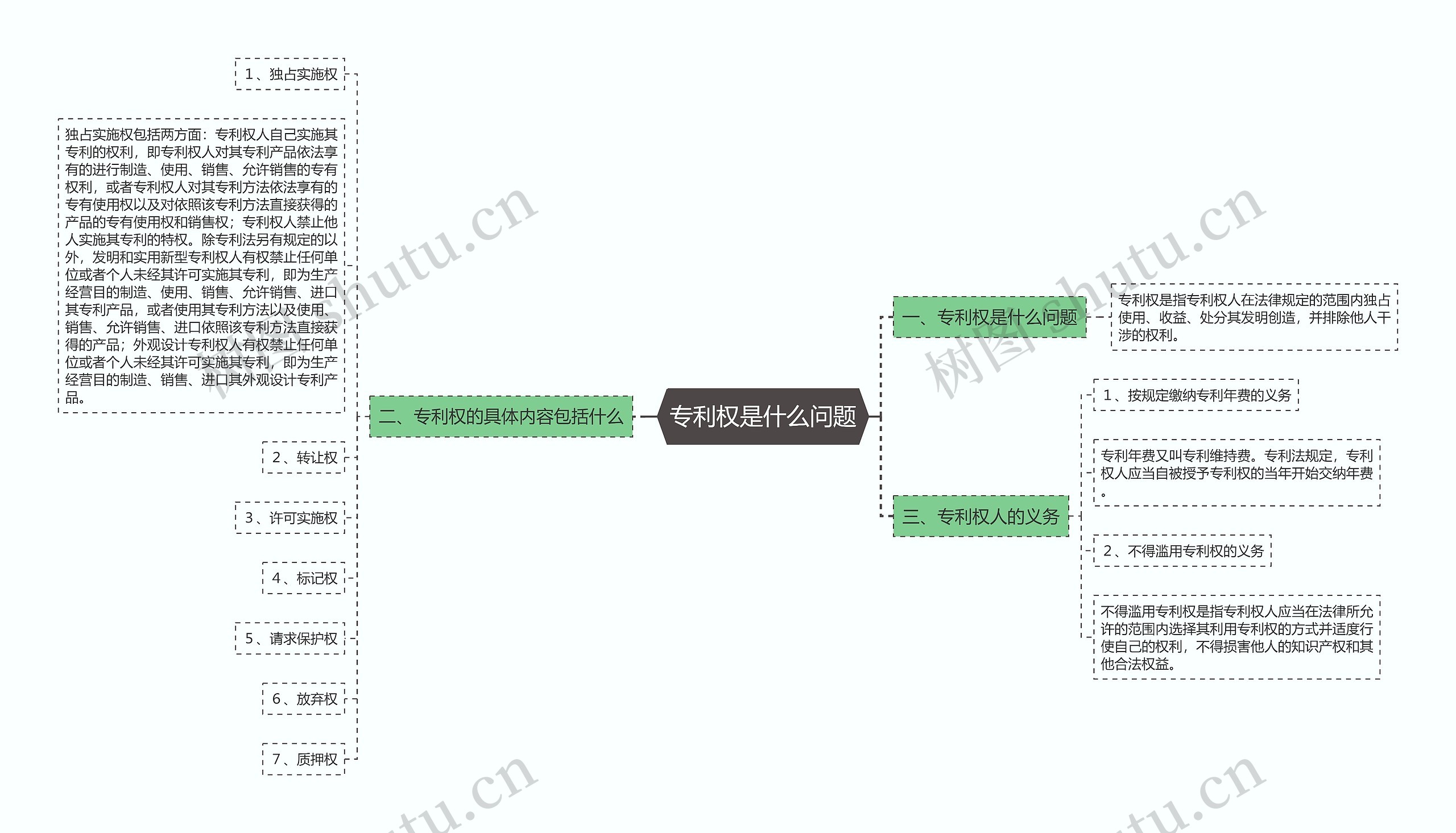 专利权是什么问题