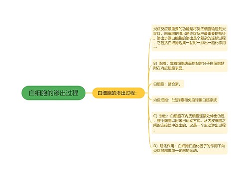 白细胞的渗出过程