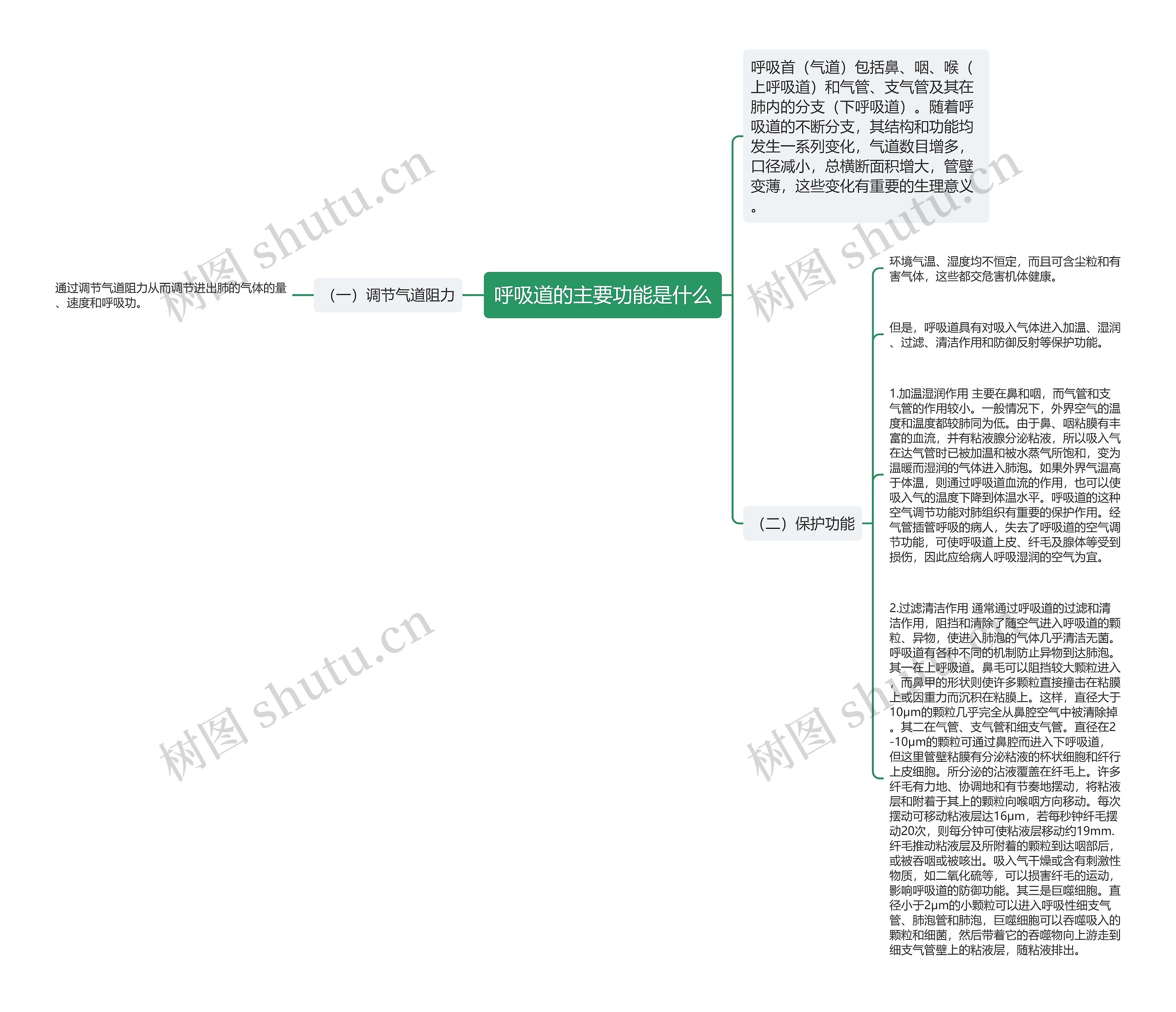 呼吸道的主要功能是什么思维导图