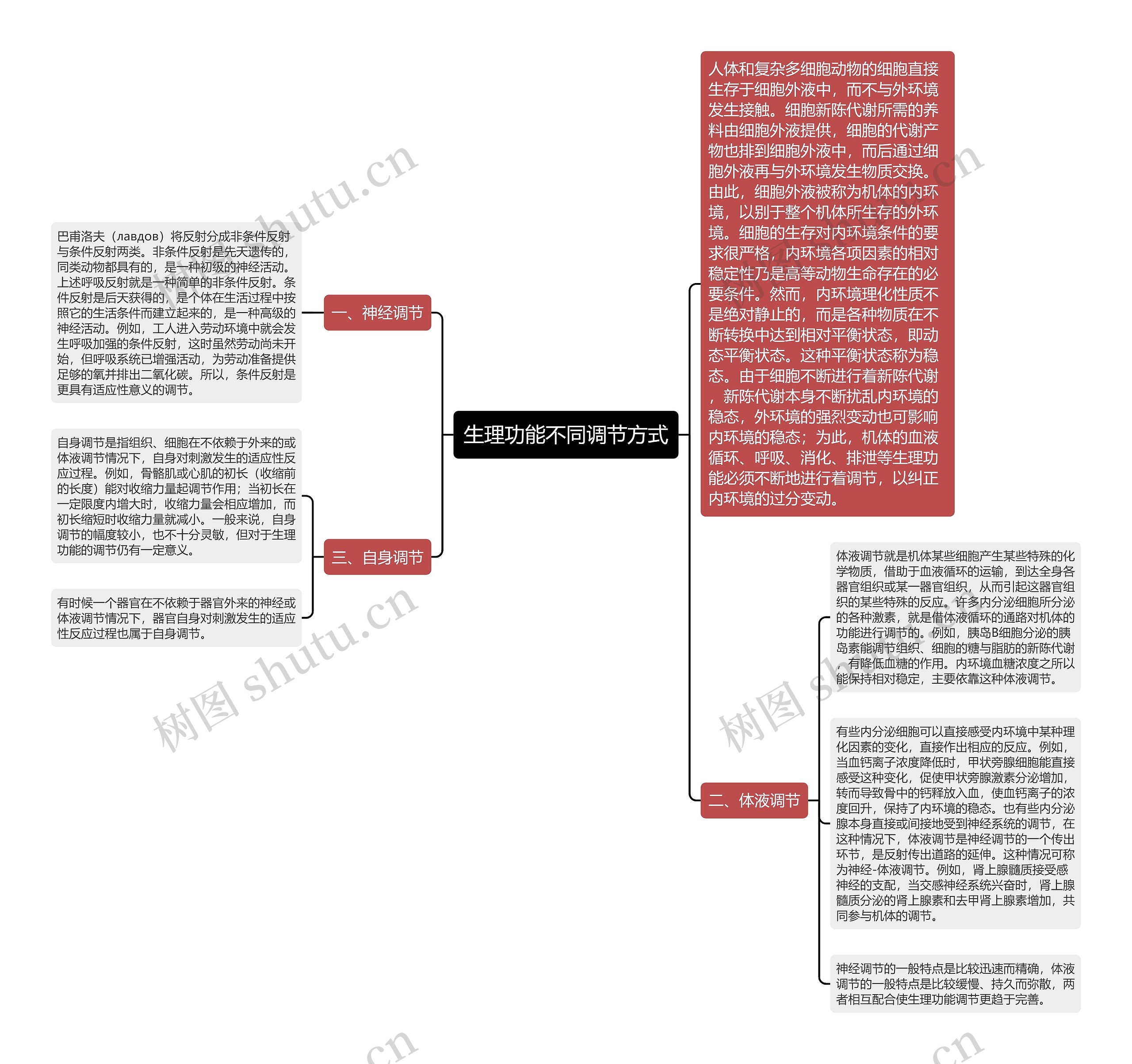 生理功能不同调节方式思维导图