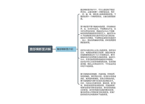 腹部横断面讲解