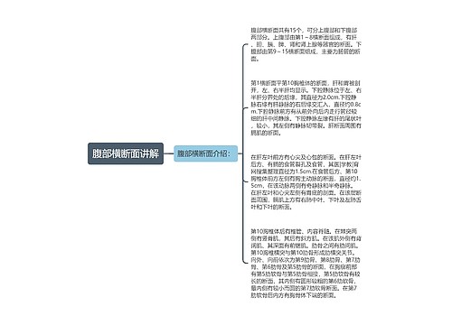 腹部横断面讲解