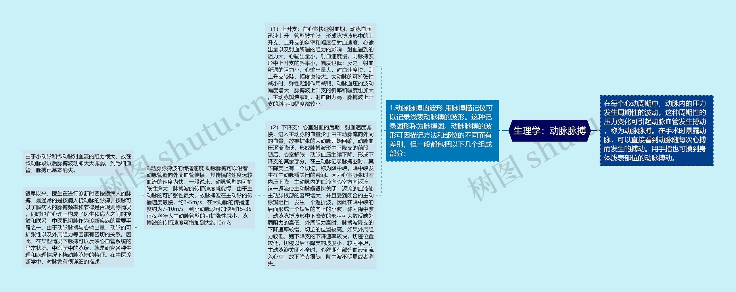 生理学:动脉脉搏 生理学:动脉脉搏