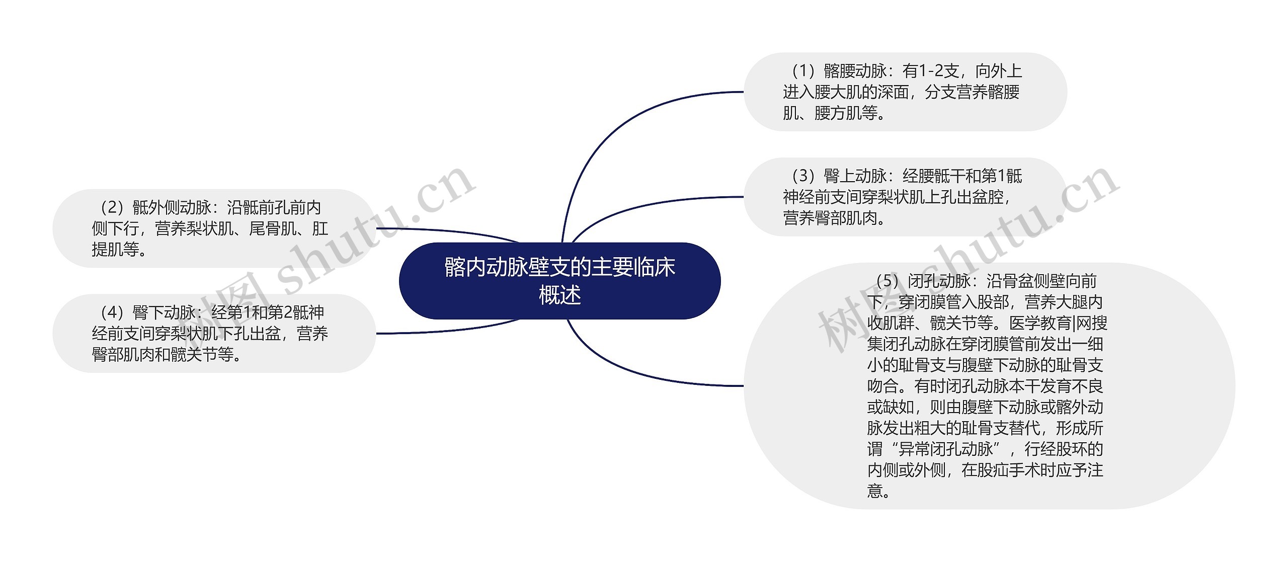 髂内动脉壁支的主要临床概述思维导图