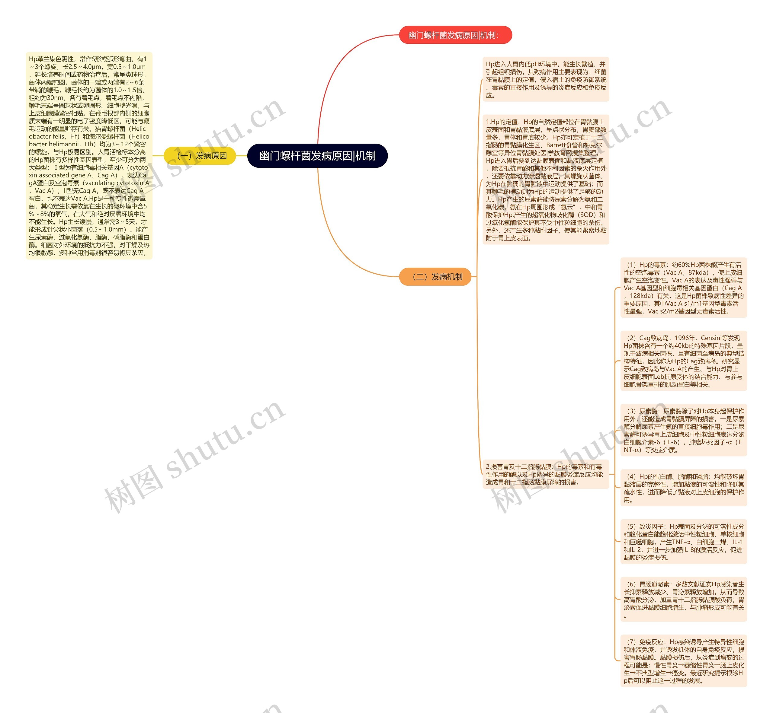 幽门螺杆菌发病原因|机制思维导图