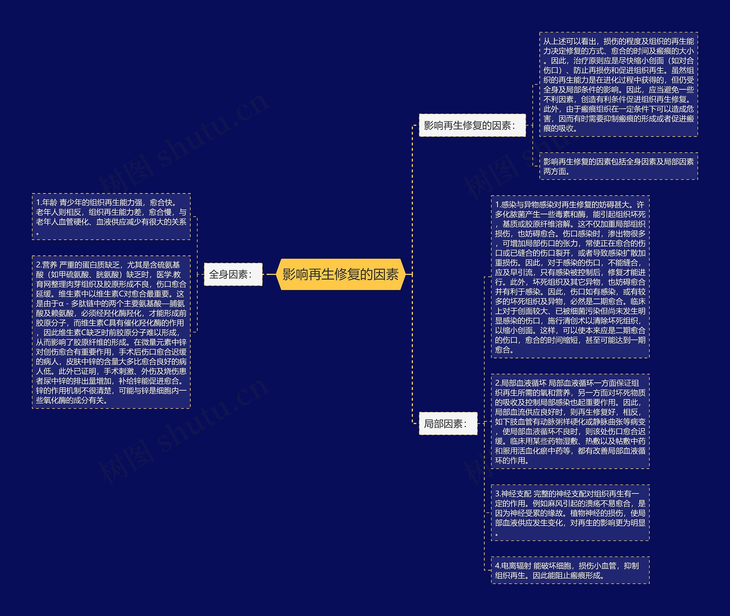 影响再生修复的因素思维导图