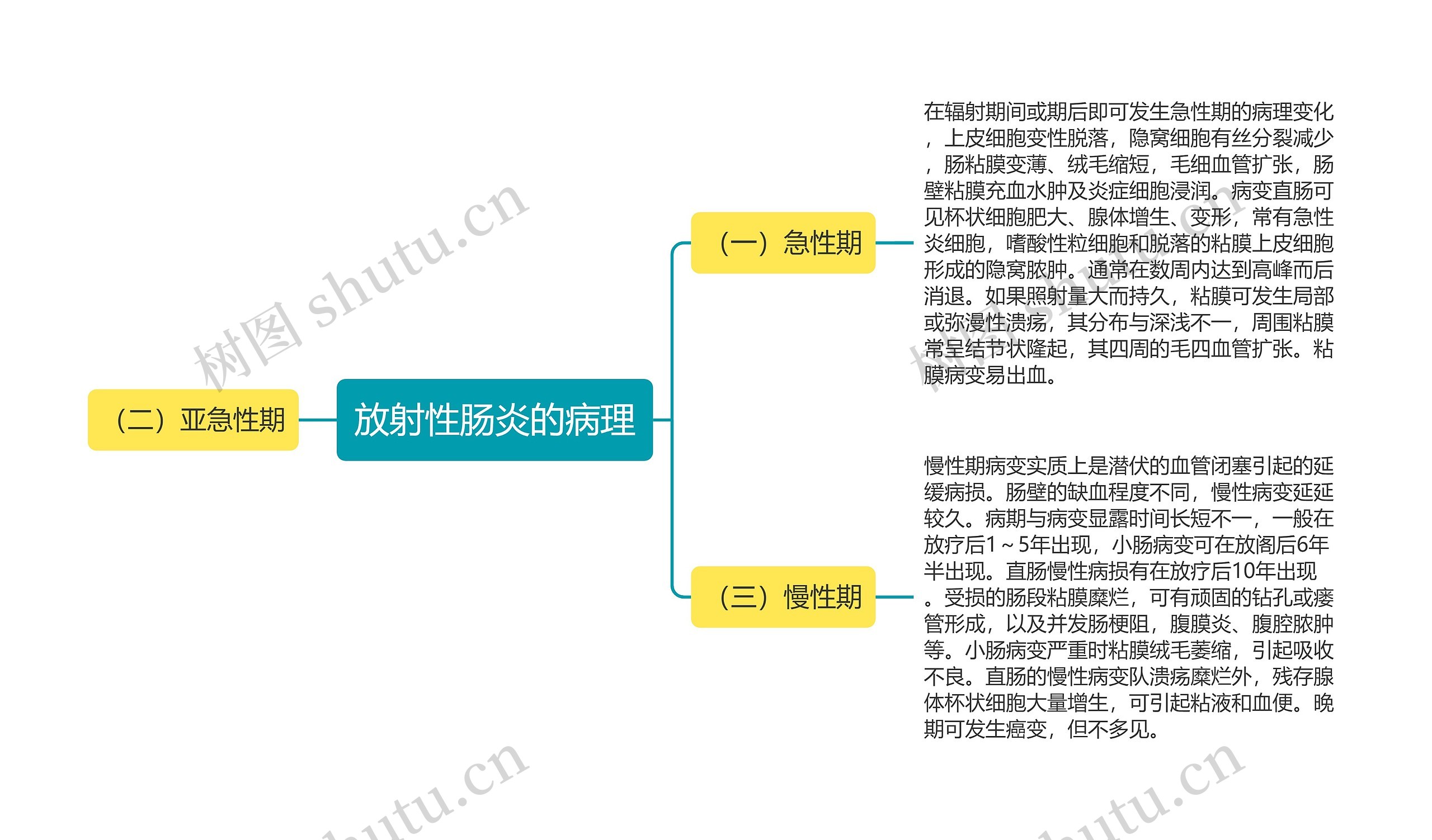 放射性肠炎的病理