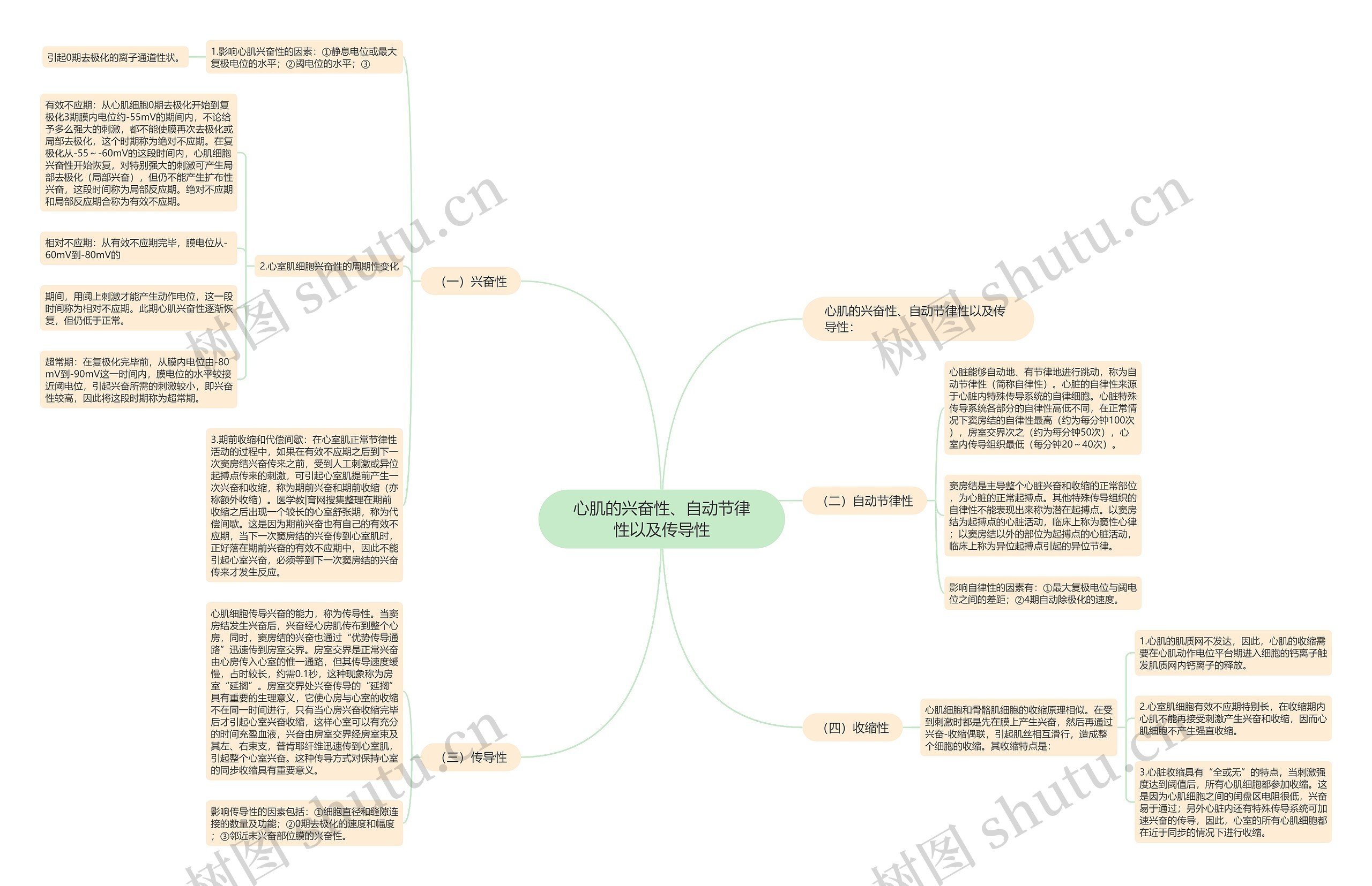 心肌的兴奋性、自动节律性以及传导性