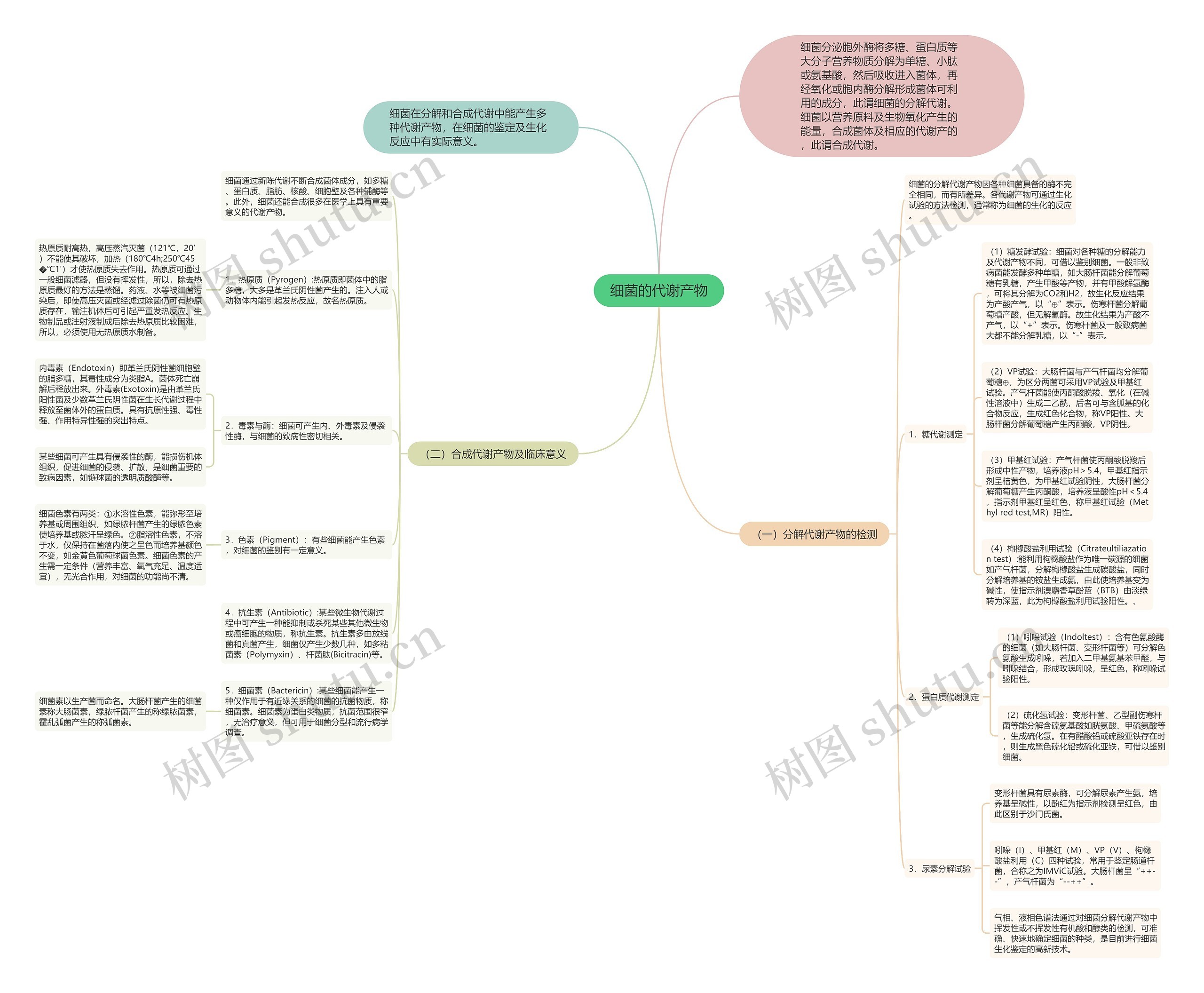 细菌的代谢产物思维导图