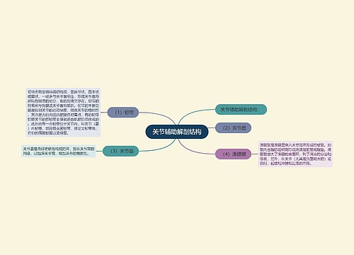 关节辅助解剖结构