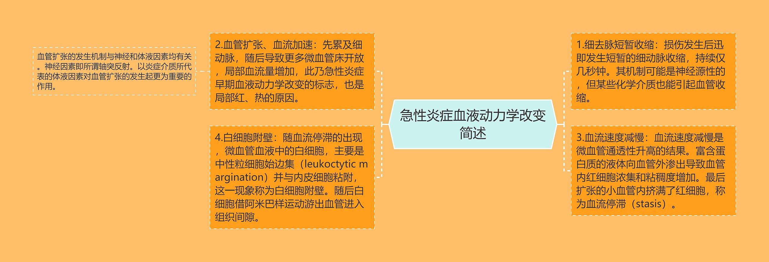 急性炎症血液动力学改变简述思维导图